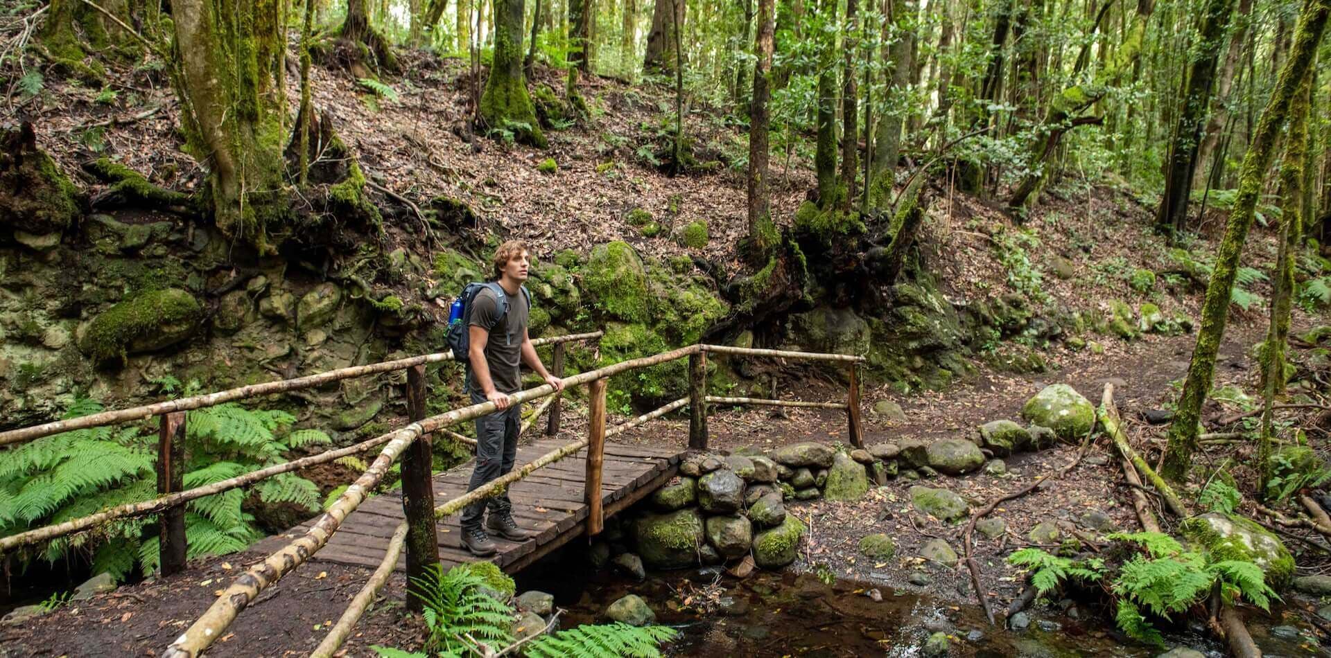 Garajonay - compromiso sostenibilidad